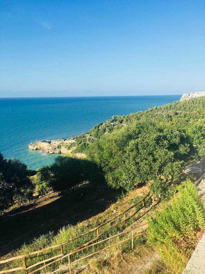 Casa Michela Villa Vico Del Gargano Ngoại thất bức ảnh