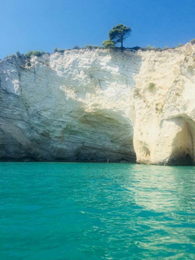 Casa Michela Villa Vico Del Gargano Ngoại thất bức ảnh