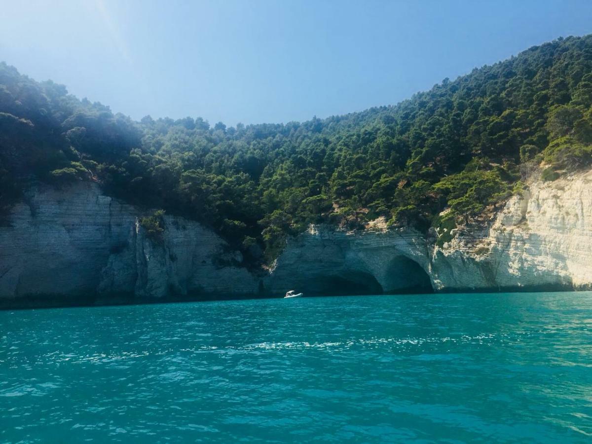 Casa Michela Villa Vico Del Gargano Ngoại thất bức ảnh